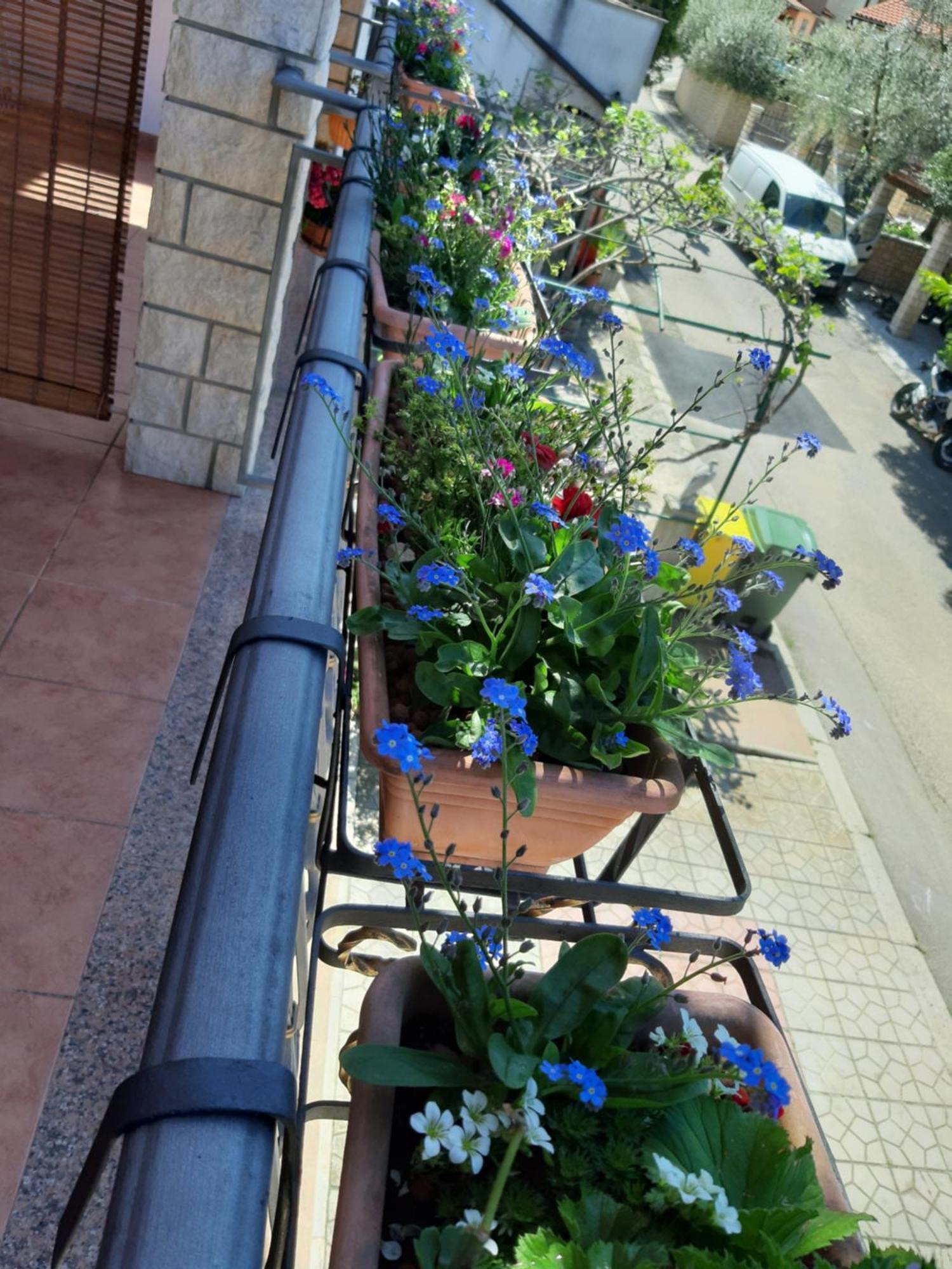 Adria Vrsar Apartment Exterior photo