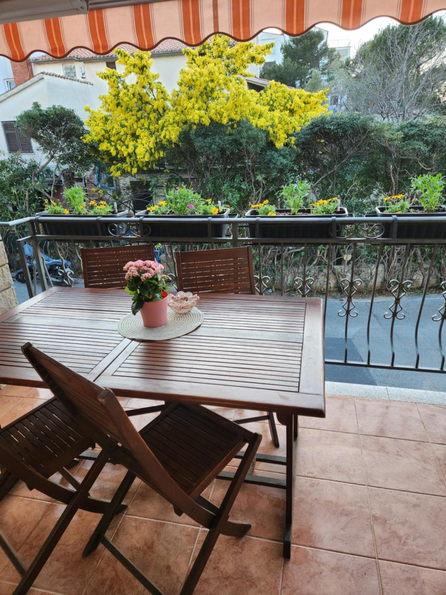 Adria Vrsar Apartment Exterior photo
