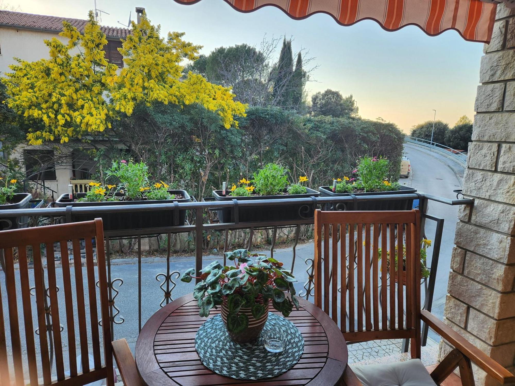 Adria Vrsar Apartment Exterior photo